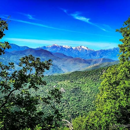 Nuits magiques au village entre mer et montagnes Bigorno Extérieur photo